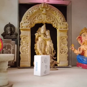 Tinkofa Dilori Puja Room Interior Decoration with IR Motion Sensor Re-recordable Voice Speaker